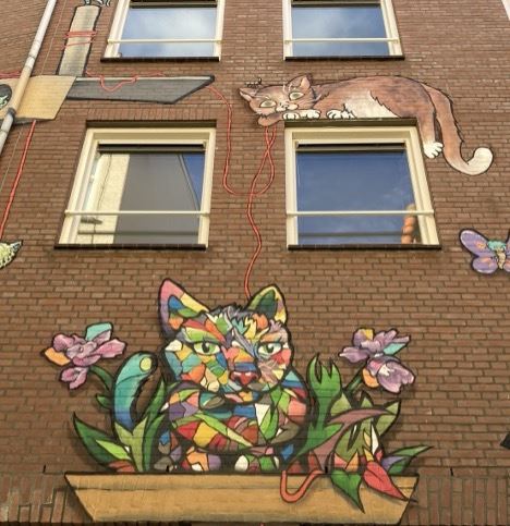 kattensteeg den haag street art